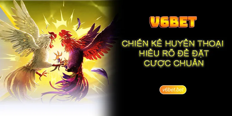 Bi mat da ga Thomo va ky thuat chien dau vuot troi Bí mật đá gà Thomo và kỹ thuật chiến đấu vượt trội