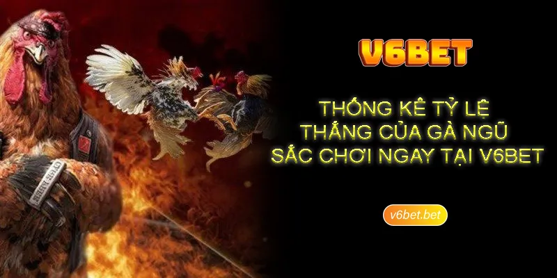 Bi quyet bach chien bach thang o da ga ngu sac Bí quyết bách chiến bách thắng ở đá gà ngũ sắc