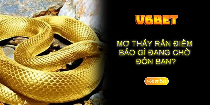 Giai thich co ban viec nam mo thay ran Giải thích cơ bản việc nằm mơ thấy rắn
