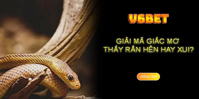 Giai thich viec nam mo thay ran chung cho hoi vien Giải thích việc nằm mơ thấy rắn quấn người nên đầu tư con gì?