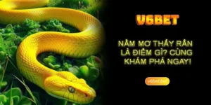 Giải thích việc nằm mơ thấy rắn chung cho hội viên