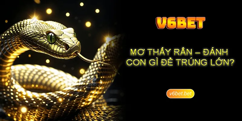 Nam mo thay ran danh so gi chung chung cho hoi vien tai V6BET Nằm mơ thấy rắn đánh số gì chung chung cho hội viên tại V6BET