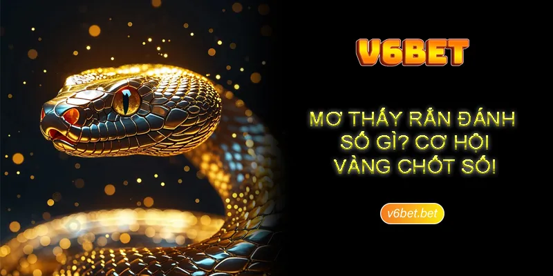 Nam mo thay ran danh so gi neu thay ran chet Nằm mơ thấy rắn đánh số gì nếu thấy rắn chết