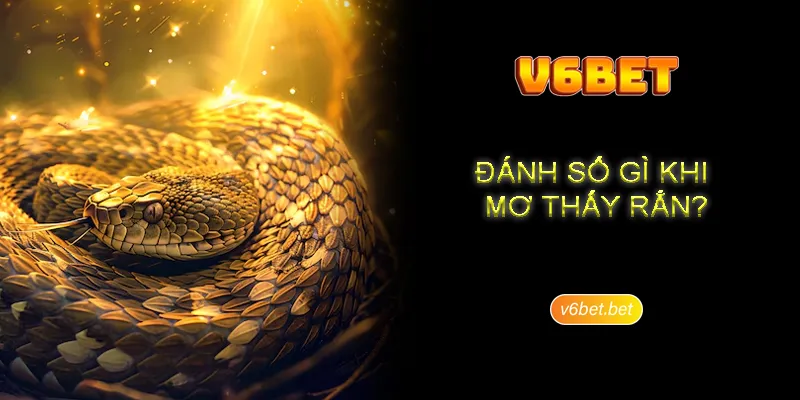 Nam mo thay ran danh so gi va con de nen dau tu Nằm mơ thấy rắn đánh số gì và con đề nên đầu tư