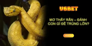 Sơ lược về vấn đề nằm mơ thấy rắn đánh số gì cho chuẩn?