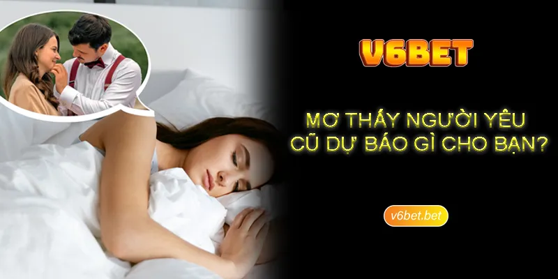 So luoc ve van de nam mo thay ran danh so gi cho chuan (1) Giới thiệu chung về việc nằm mơ thấy người yêu cũ V6BET