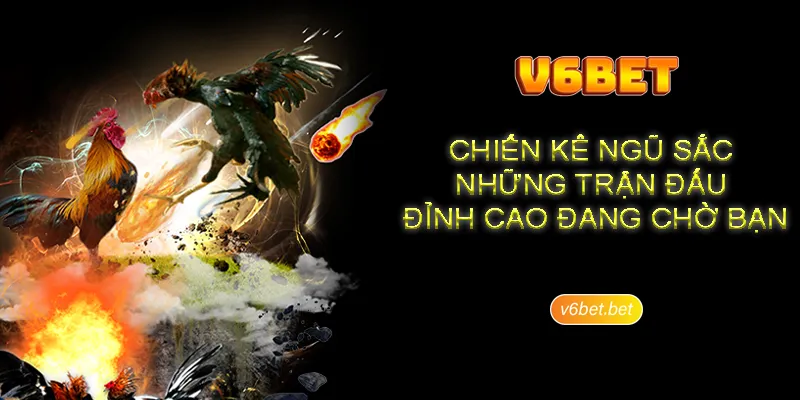 Thong tin gioi thieu ve da ga ngu sac V6BET Thông tin giới thiệu về đá gà ngũ sắc V6BET