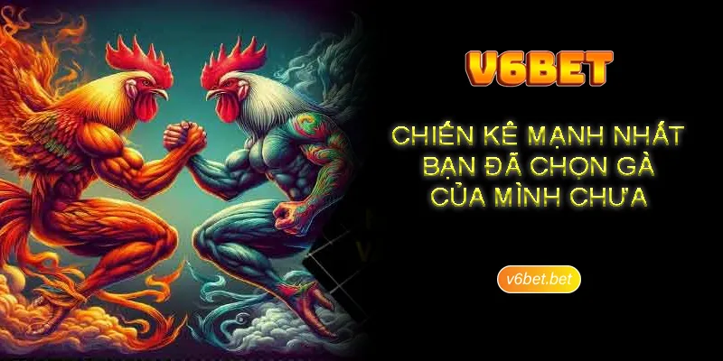 Tinh xanh chin tuyet doi khi trai nghiem da ga tai V6BET Tính xanh chín tuyệt đối khi trải nghiệm đá gà tại V6BET